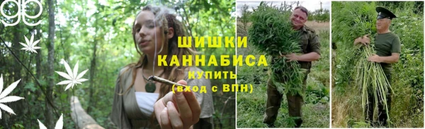apvp Абаза