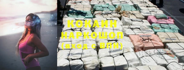 шишки Абинск