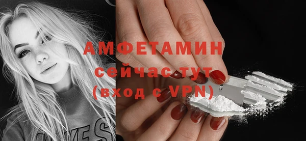 шишки Абинск