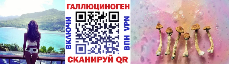 Псилоцибиновые грибы мухоморы  продажа наркотиков  Эртиль 